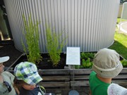 Výlet Dobrovice - dopravní hřiště